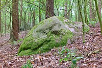 Naturdenkmal "ND WL 00009" im Landkreis Harburg (Niedersachsen): Wanderblock, östlich des Botenbergs, Schätzendorf (Gemeinde Egestorf); gelegen im Landschaftsschutzgebiet Garlstorfer Wald und weitere Umgebung