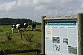 NSG Lütjenholmer Heidedünen, Infotafel (Nordfriesland)