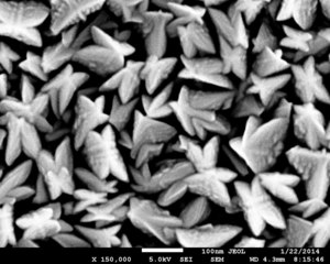 Nano-butterflies, nano-stars and nano-snowflakes (1 a).tif