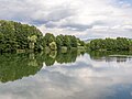 * Nomination Quarry pond in the Büg nature reserve near Eggolsheim --Ermell 04:18, 24 June 2024 (UTC) * Promotion  Support Good quality.--Famberhorst 04:21, 24 June 2024 (UTC)