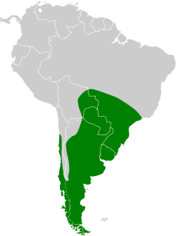 Distribución geográfica del pato picazo.