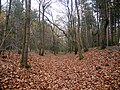 The Faesten Dic in the northern part of Joyden's Wood. [187]