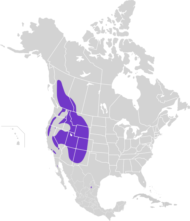 Área de distribución de Nucifraga columbiana