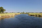 Okavango kanal.jpg