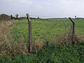 Thumbnail for File:Over the fence - geograph.org.uk - 2112420.jpg