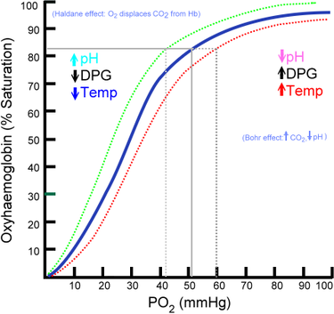 375px-Oxyhaemoglobin_dissociation_curve.png