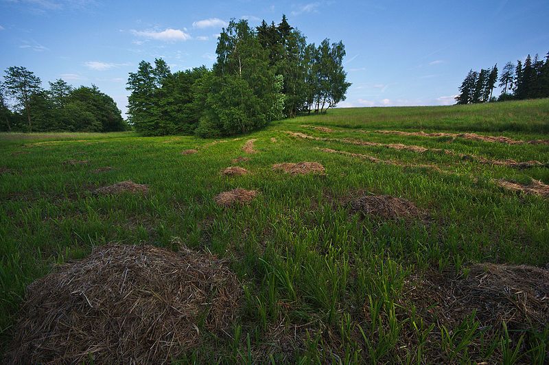 File:Přírodní památka Pod liščím kupem, okres Prostějov (03).jpg