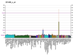 PBB GE MYH11 201495 x at fs.png