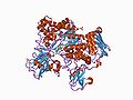 Structure of Chitobiase