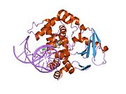 PDB 1n3c EBI.jpg