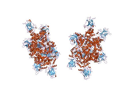 Tập_tin:PDB_2h1l_EBI.jpg