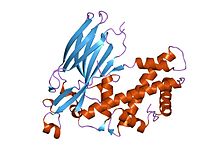 PDB 2io5 EBI.jpg