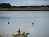 Papanui Inlet Wetlands - 2013.04 - panoramio.jpg