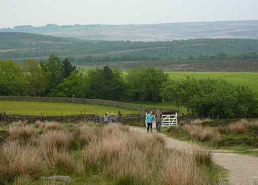 Path towards a well concealed car park - geograph.org.uk - 1888970