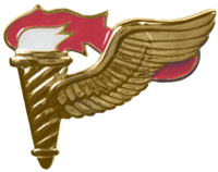 Pathfinder Badge