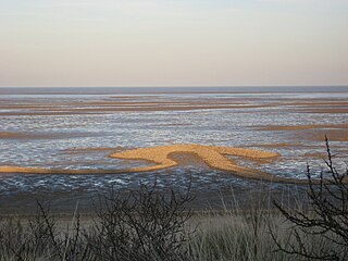 Pattern on the beach 