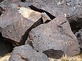 petroglyphs