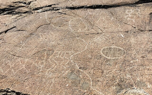 Petroglyphs at McGlashan Point