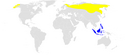 Mapa de distribución de Phylloscopus borealis.png