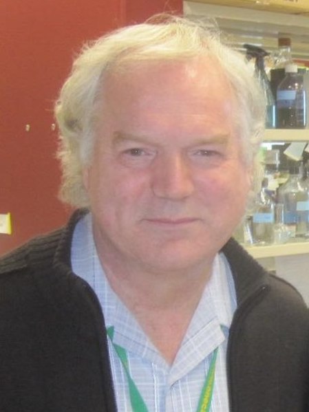 File:Prof Michael Houghton (cropped).jpg