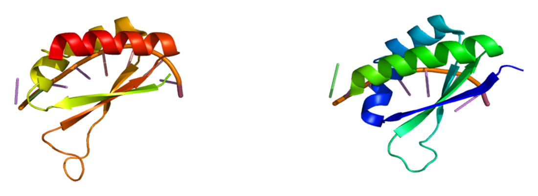 Far upstream element-binding protein 1