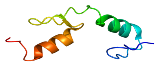 HIVEP1 Protein-coding gene in the species Homo sapiens