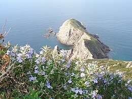 Chef de l'Argentière