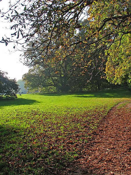 File:Putbus Park 6.jpg