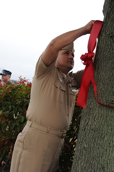 File:Red Ribbon Week 141022-N-MI388-002.jpg