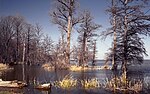 Vignette pour Liste des parcs d'État du Tennessee