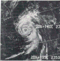 Thumbnail for Typhoon Rita (1975)