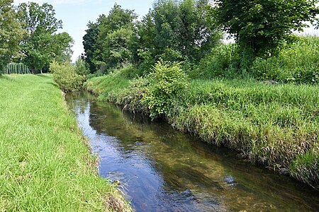 River Loznica