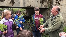 Schoolchildren replanting after a wildfire, 2017 Roseburg students plant natives after wildfire (34139962271).jpg