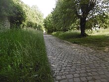 Rue des tilleuls à Villeneuve-sous-Dammartin.jpg