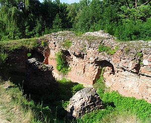 Tarnów: Toponimia, Historia, Demografia