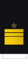 Вице-адмирал Vice-admïral (Kazakh Naval Forces)[33]