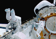 Harbaugh (in spacesuit with red stripes) and fellow astronaut Mario Runco, Jr. performing an EVA during the STS-54 mission. STS-54 EVA.gif