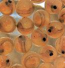 Salmo salar eggs.jpg