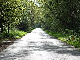 <span class="mw-page-title-main">Milford Green and Coxhill Green</span> Nature Reserves in Chobham, Surrey, British Columbia