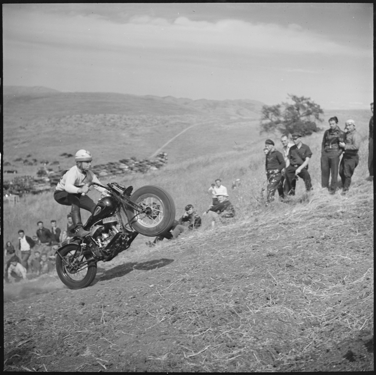 Motocross Bike, Hill Climb Racing Wiki