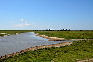 Schleswig-Holstein, Dithmarschen, Landschaftsschutzgebiet Speicherkoog Dithmarschen (Nordkoog) NIK 3270.jpg