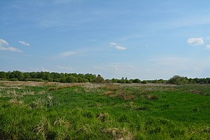 Schleswig-Holstein, Vaale, Vaaler Moor NIK 0455.JPG