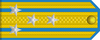 Senior Colonel rank insignia (North Korean police).png