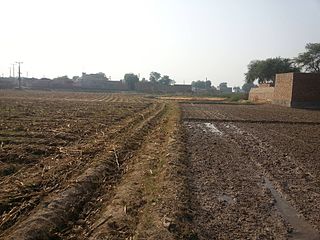 <span class="mw-page-title-main">Lodhran District</span> District in Punjab, Pakistan