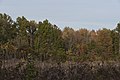 * Nomination Forests an Meadows in Sharon Woods near peak Fall -- Sixflashphoto 03:14, 30 October 2017 (UTC) * Promotion Ohio`s nature is simply stunning. Good quality. -- Johann Jaritz 03:27, 30 October 2017 (UTC)