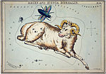 Thumbnail for File:Sidney Hall, Aries and Musca Borealis, 1825.jpg