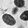 Smallpox virus virions TEM PHIL 1849 (crop).jpg