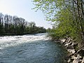 Sohlschwelle in der Ybbs bei Amstetten, Greimpersdorf