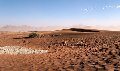 Ondulações nas dunas de areia entre Dead Vlei e Sossusvlei, Parque nacional Namib-Naukluft, Namíbia (definição 4 600 × 2 746)
