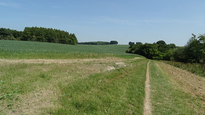 File:South Downs Way crossing Telegraph Hill near Winchester - geograph.org.uk - 5612121.jpg